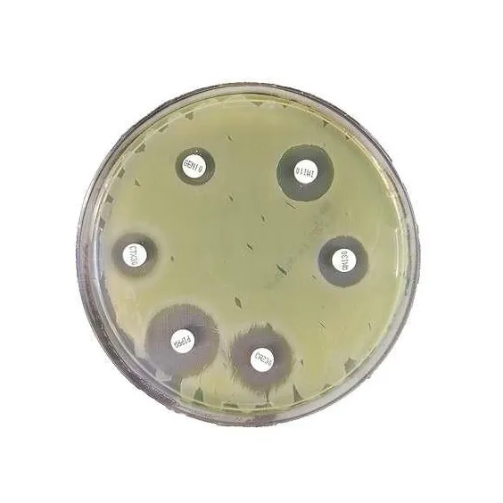 замовити, купити Агар Мюллера-Хинтона II від Biolife Italiana S.r.l. за низькою ціною в Україні